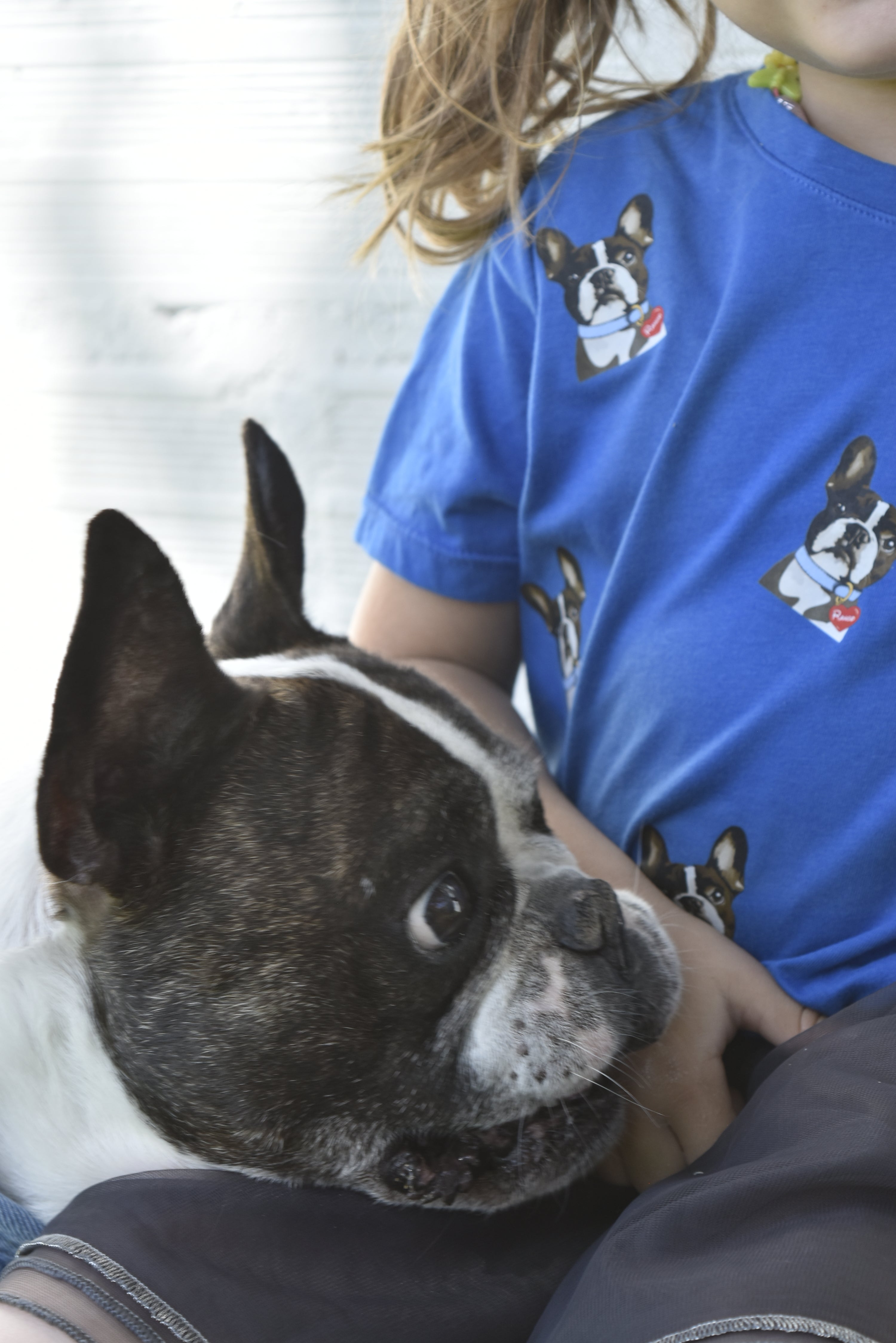 Camiseta con la cara de tu mascota